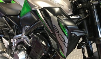 2019 Kawasaki Z900 full
