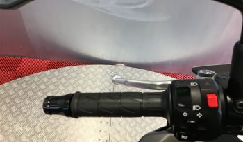 2019 Kawasaki Z900 full