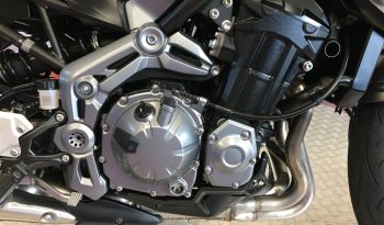 2019 Kawasaki Z900 full
