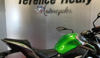 2019 Kawasaki Z900 full