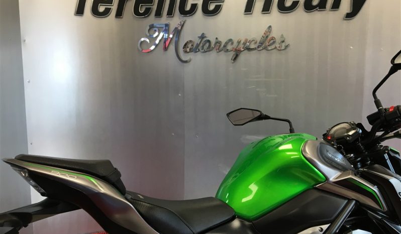 2019 Kawasaki Z900 full