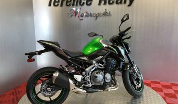 2019 Kawasaki Z900 full