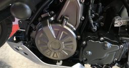 2019 Yamaha Super Tenere 1200
