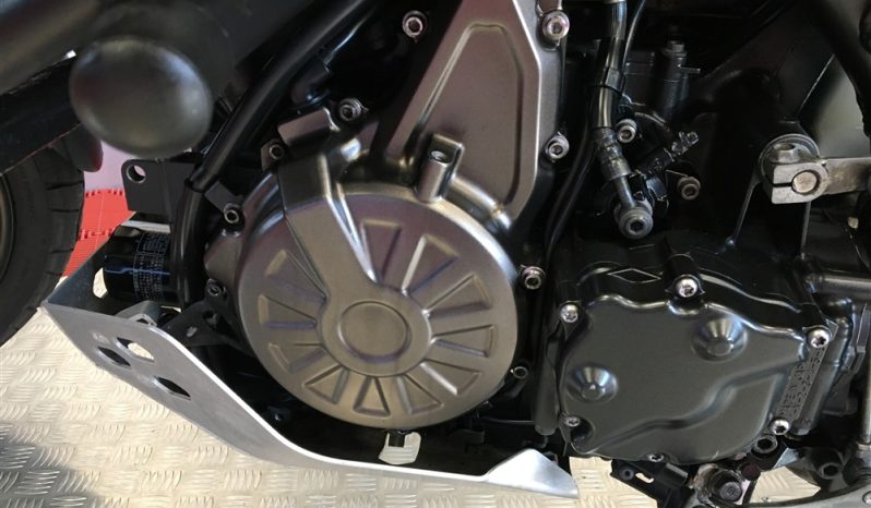 2019 Yamaha Super Tenere 1200 full