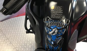 2019 Yamaha Super Tenere 1200 full