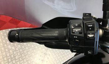 2019 Yamaha Super Tenere 1200 full