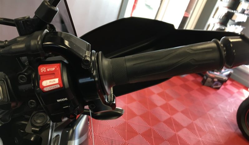 2019 Yamaha Super Tenere 1200 full