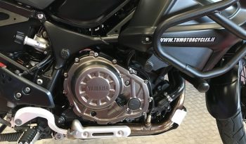 2019 Yamaha Super Tenere 1200 full
