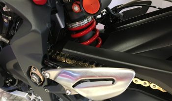 2015 Triumph Street Triple R 675 full