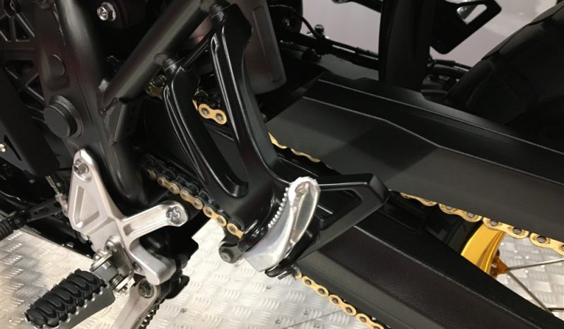 2020 Yamaha Tenere 700 full