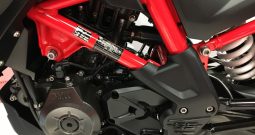 2022 BMW G310 GS RALLYE
