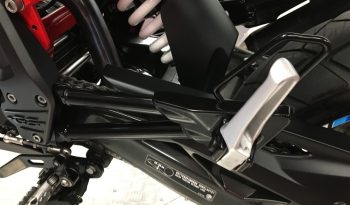 2022 BMW G310 GS RALLYE full