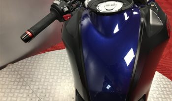 2022 BMW G310 GS RALLYE full