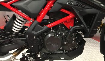 2022 BMW G310 GS RALLYE full