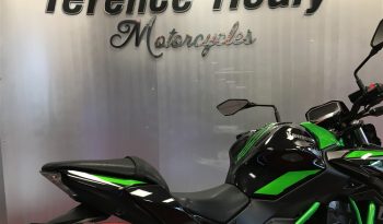 2022 Kawasaki Z650 full