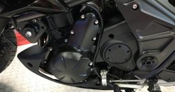2015 Kawasaki Versys 650