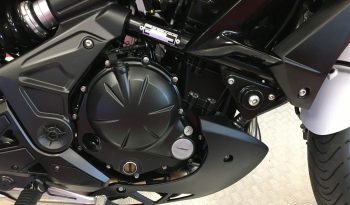 2015 Kawasaki Versys 650 full