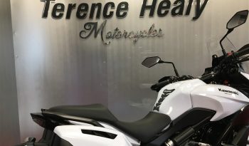 2015 Kawasaki Versys 650 full