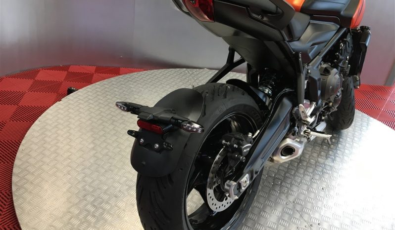 2023 Triumph Trident 660 full
