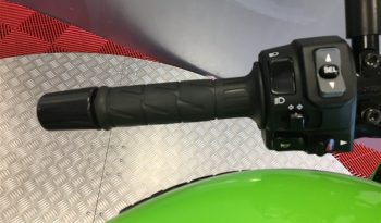 2020 Kawasaki Z900RS full