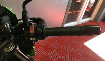 2020 Kawasaki Z900RS full