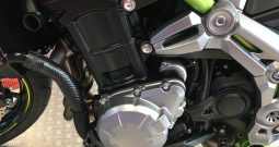2019 Kawasaki Z900