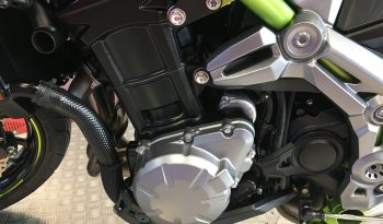 2019 Kawasaki Z900 full