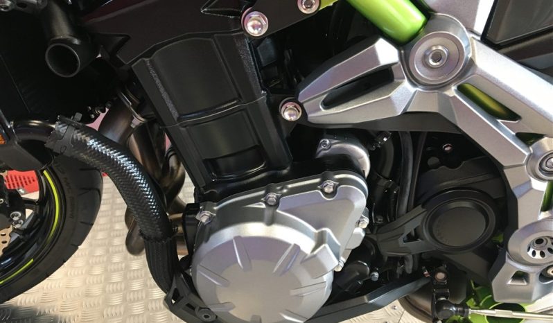 2019 Kawasaki Z900 full