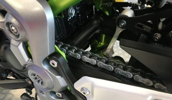 2019 Kawasaki Z900 full