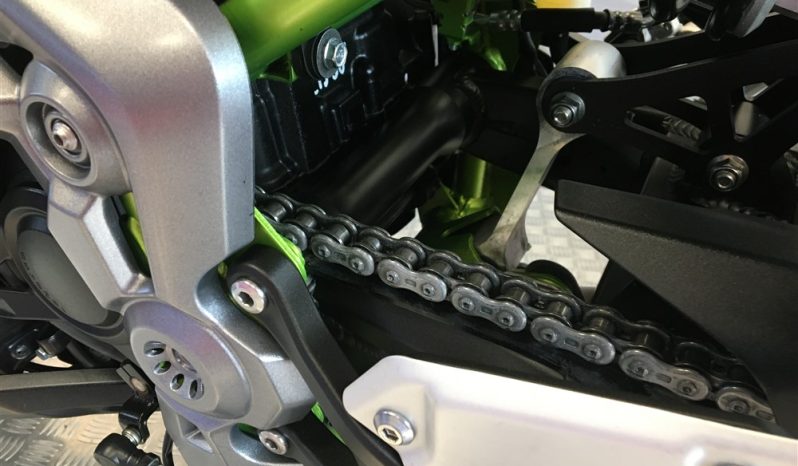 2019 Kawasaki Z900 full