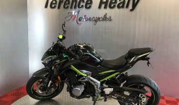 2019 Kawasaki Z900 full