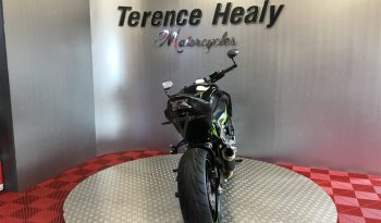 2019 Kawasaki Z900 full