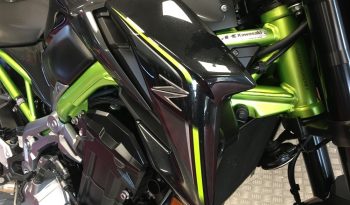 2019 Kawasaki Z900 full