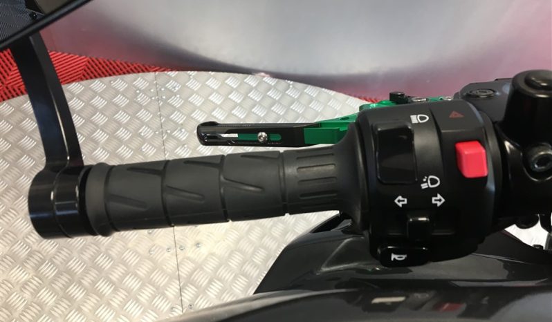 2019 Kawasaki Z900 full