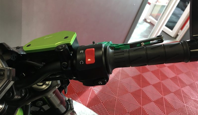 2019 Kawasaki Z900 full