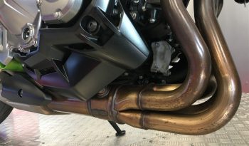 2019 Kawasaki Z900 full