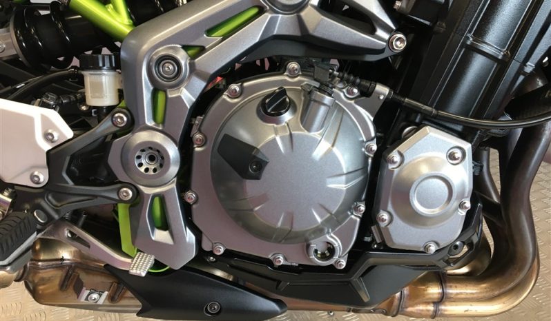 2019 Kawasaki Z900 full