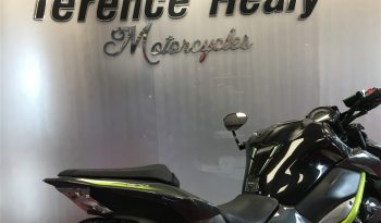 2019 Kawasaki Z900 full