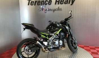 2019 Kawasaki Z900 full