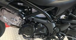 2020 Suzuki SV650X