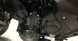 2015 Kawasaki ER6N