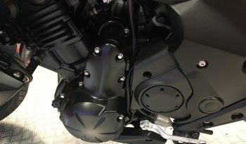 2015 Kawasaki ER6N full