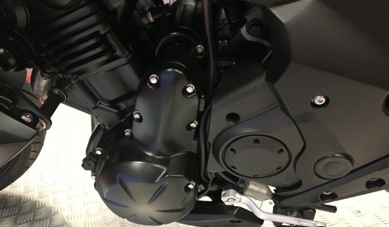 2015 Kawasaki ER6N full
