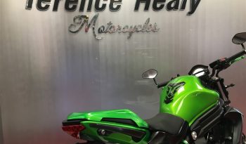 2015 Kawasaki ER6N full