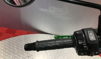 2022 Kawasaki Z650RS full