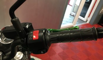 2022 Kawasaki Z650RS full