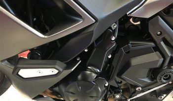 2022 Kawasaki NINJA 650 full