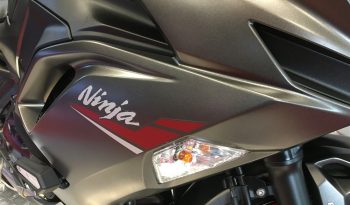 2022 Kawasaki NINJA 650 full