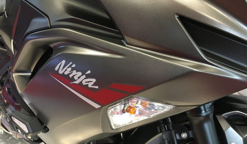 2022 Kawasaki NINJA 650 full