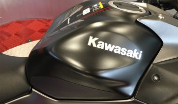 2022 Kawasaki NINJA 650 full